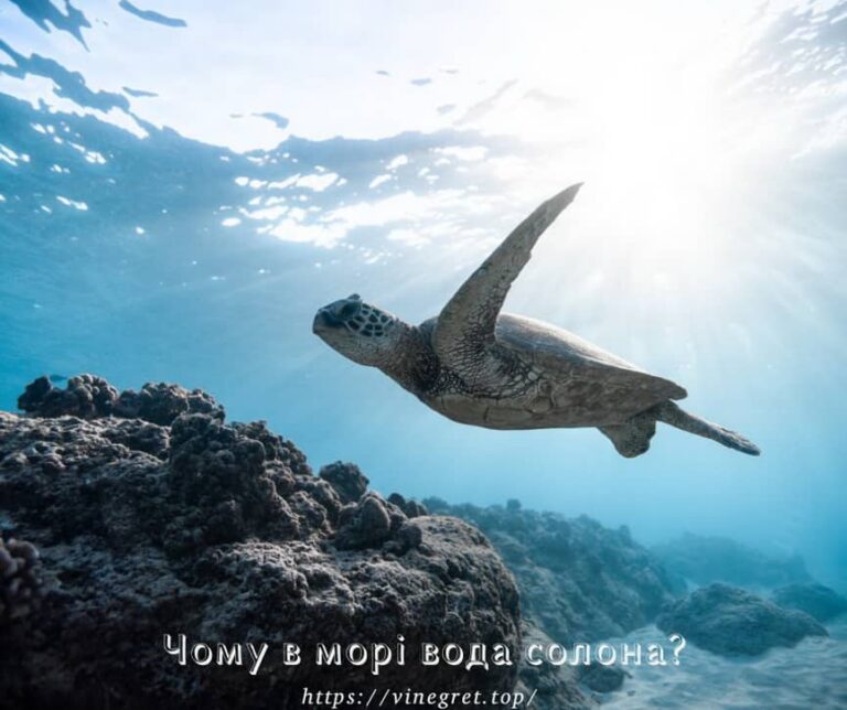 Чому в морі вода солона, чому морська вода солона