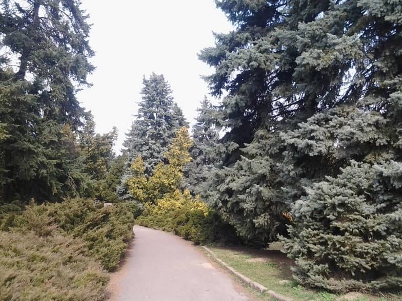 Київський ботанічний сад, в київському ботанічному саду, відвідування ботанічного саду