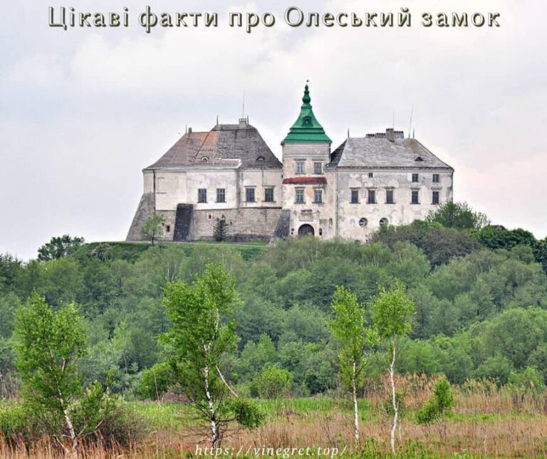 Про Олеський замок, історія Олеського замку