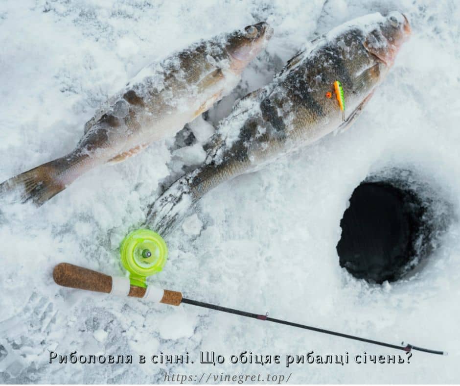 Риболовля в січні. Що обіцяє рибалці січень?