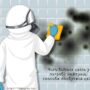 Чого боїться цвіль у погребі: найкращі способи позбутися цвілі
