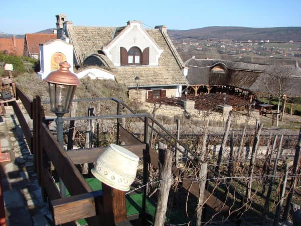 Виноградники Хевіза.